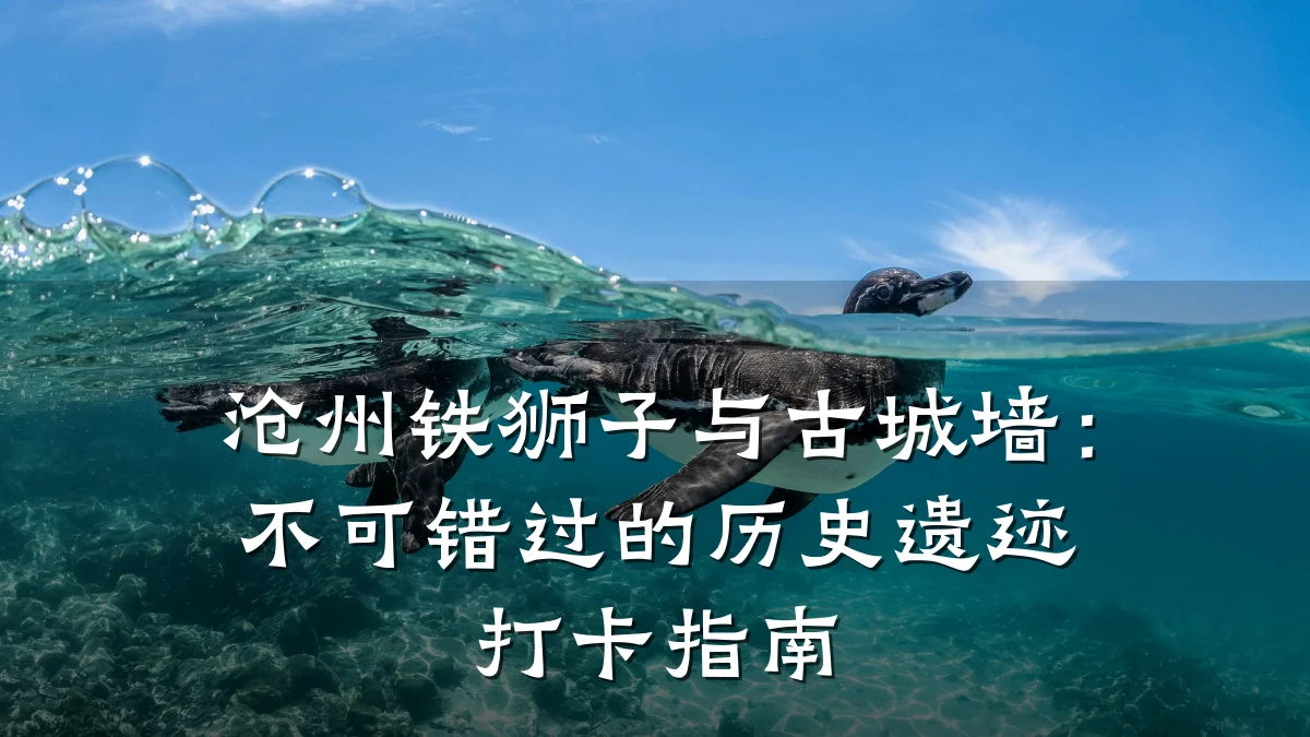 沧州铁狮子与古城墙：不可错过的历史遗迹打卡指南