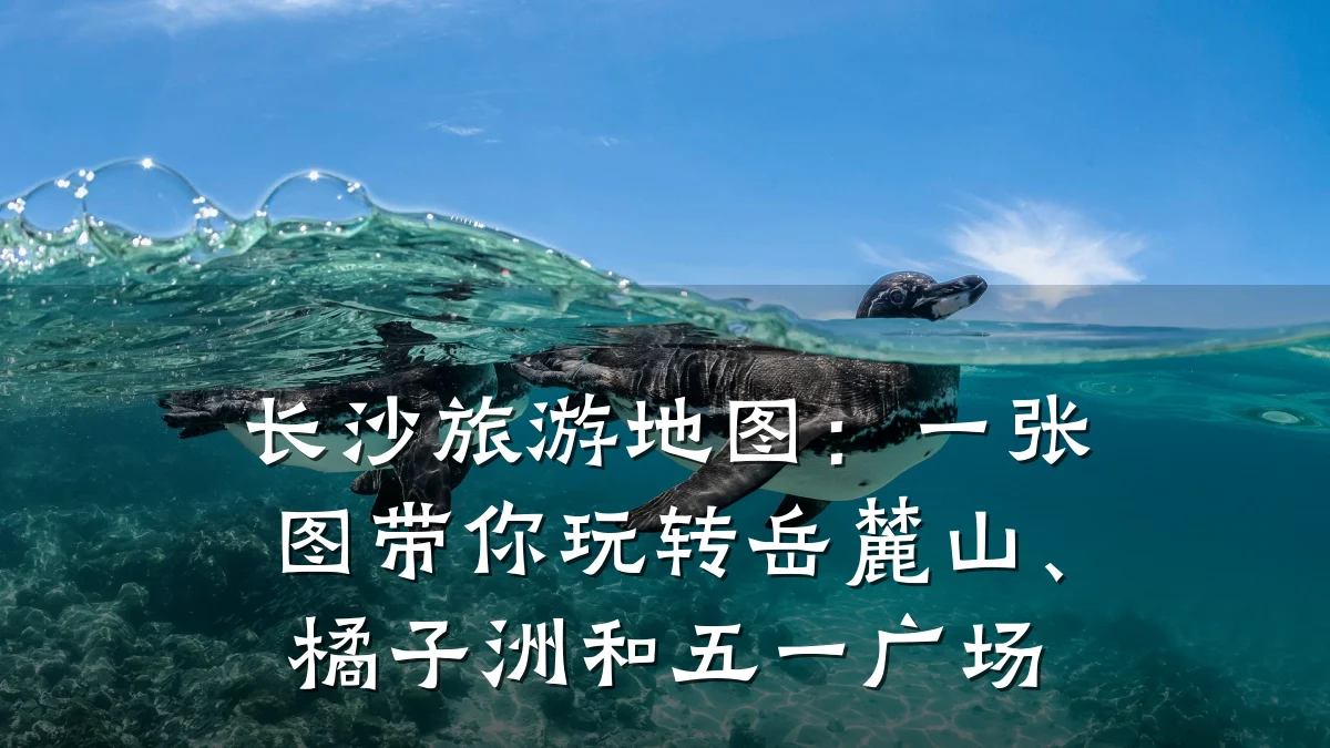 长沙旅游地图:一张图带你玩转岳麓山、橘子洲和五一广场