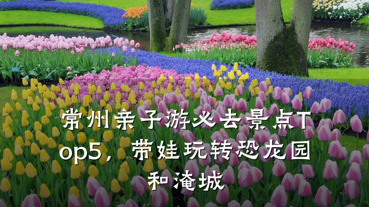 常州亲子游必去景点Top5,带娃玩转恐龙园和淹城