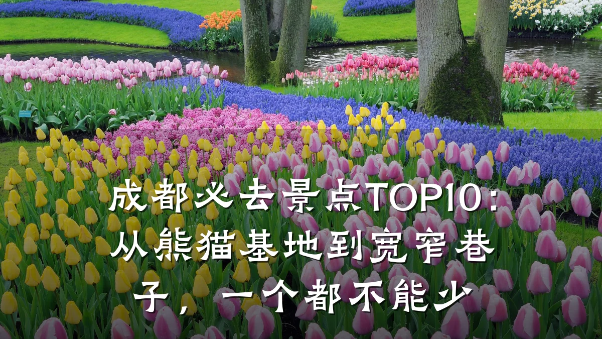 成都必去景点TOP10:从熊猫基地到宽窄巷子,一个都不能少