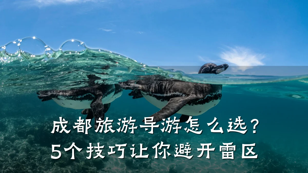 成都旅游导游怎么选?5个技巧让你避开雷区