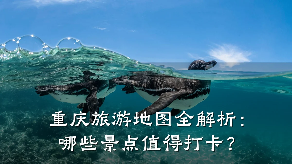 重庆旅游地图全解析:哪些景点值得打卡?