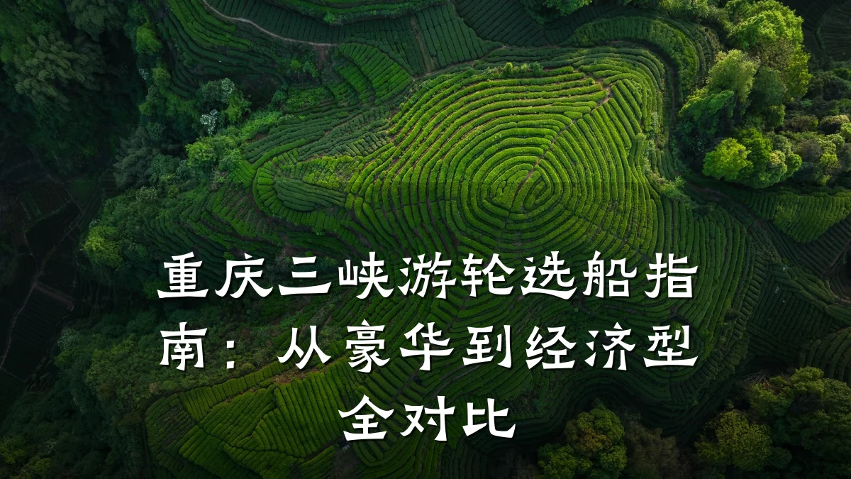 重庆三峡游轮选船指南:从豪华到经济型全对比