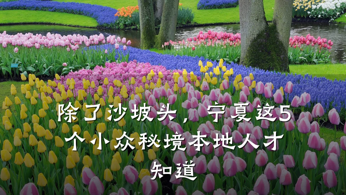 除了沙坡头,宁夏这5个小众秘境本地人才知道