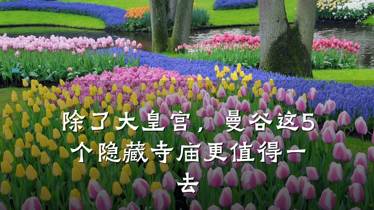 除了大皇宫,曼谷这5个隐藏寺庙更值得一去