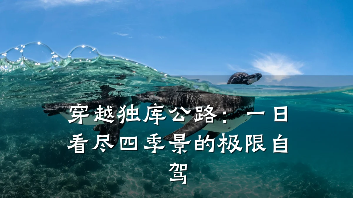 穿越独库公路:一日看尽四季景的极限自驾