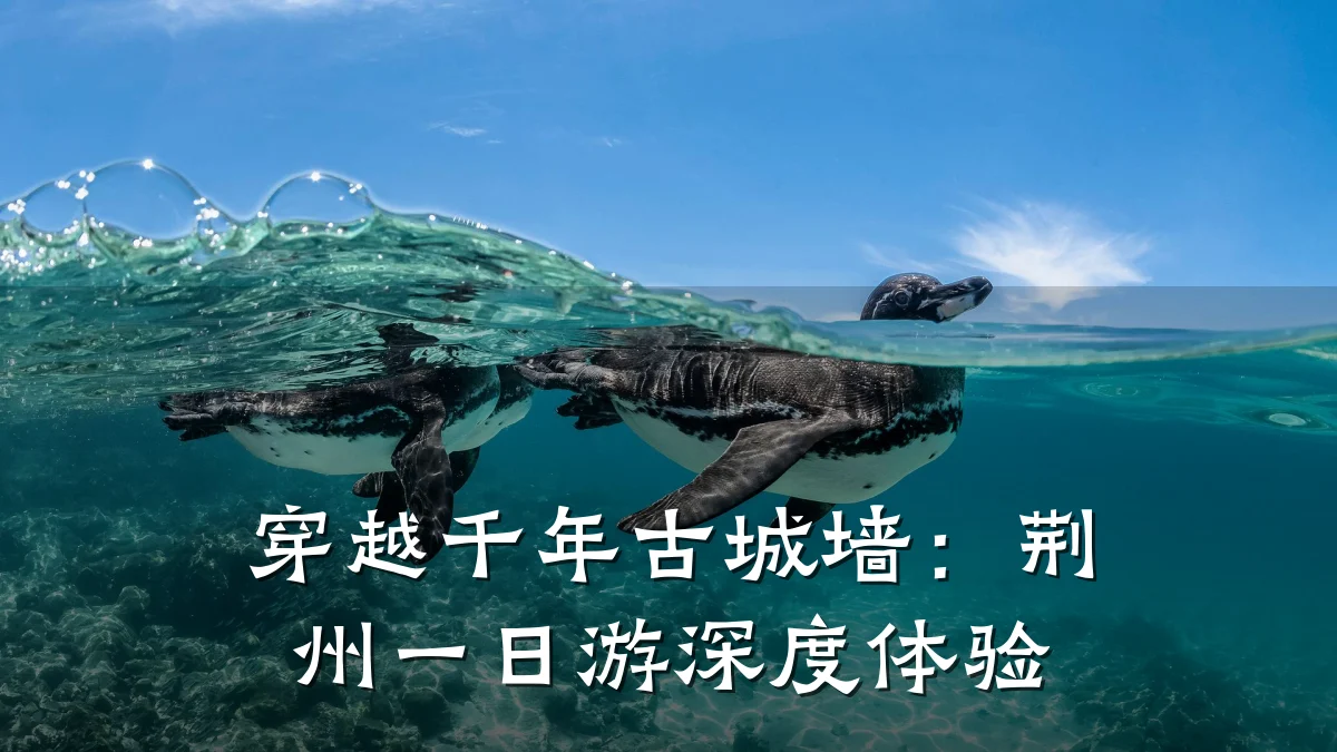穿越千年古城墙:荆州一日游深度体验