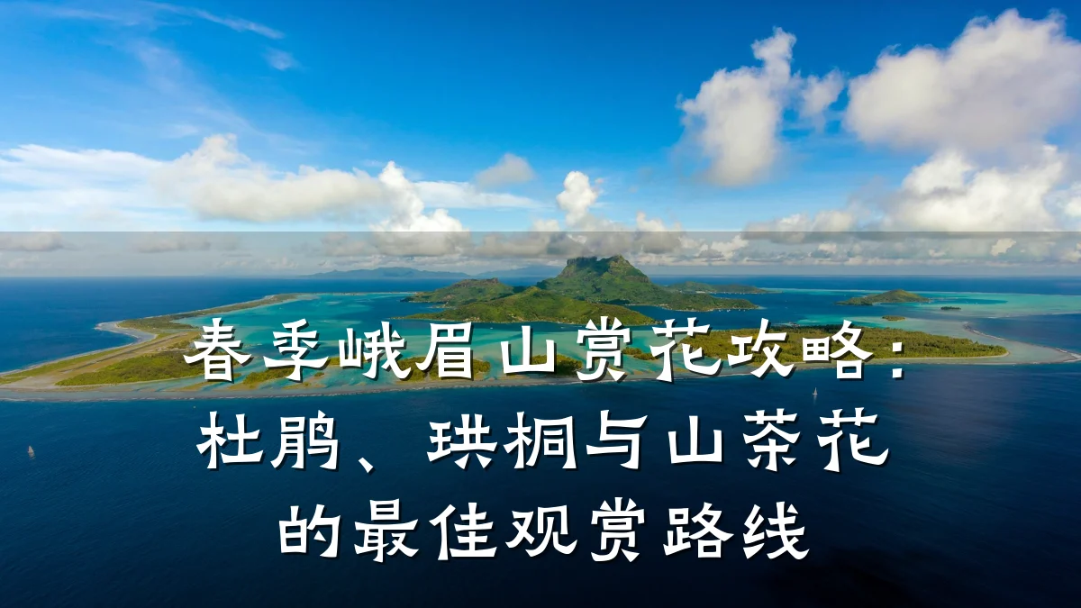 春季峨眉山赏花攻略:杜鹃、珙桐与山茶花的最佳观赏路线