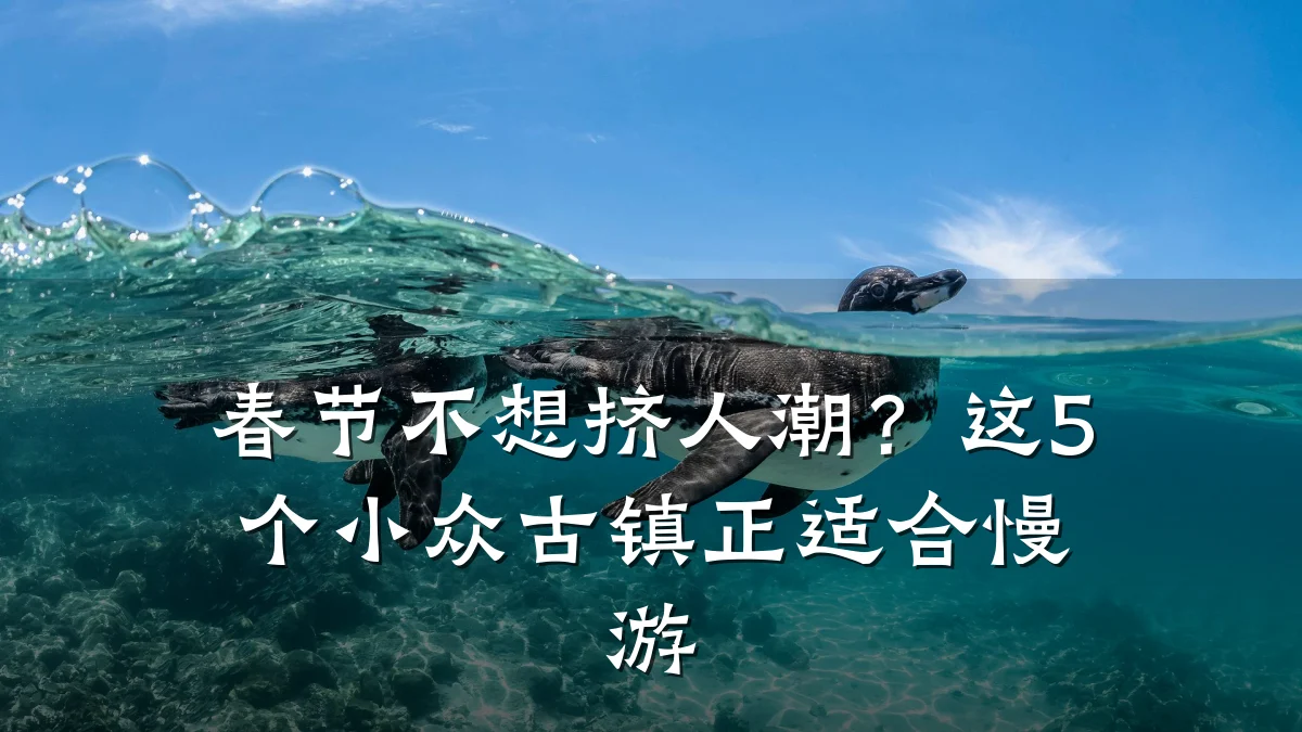 春节不想挤人潮?这5个小众古镇正适合慢游
