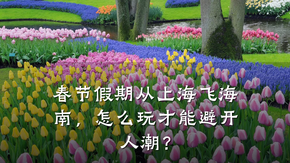 春节假期从上海飞海南,怎么玩才能避开人潮?