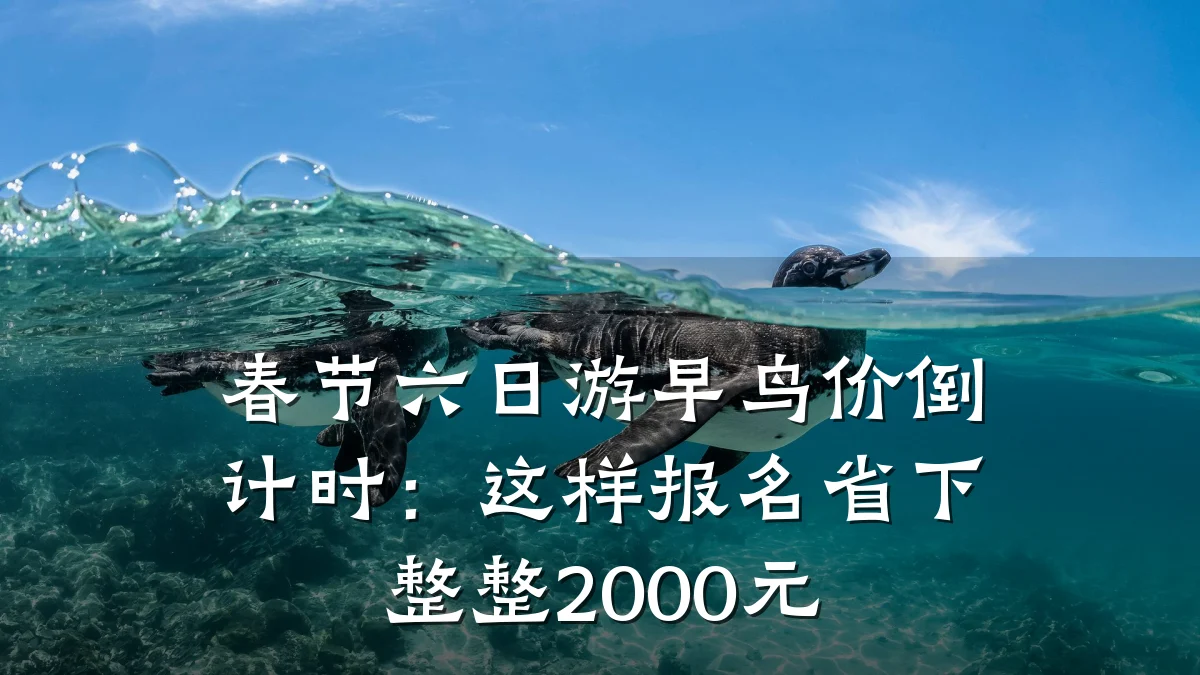 春节六日游早鸟价倒计时:这样报名省下整整2000元