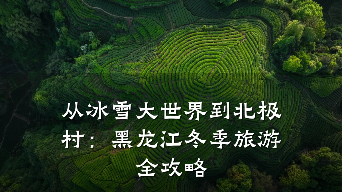 从冰雪大世界到北极村:黑龙江冬季旅游全攻略