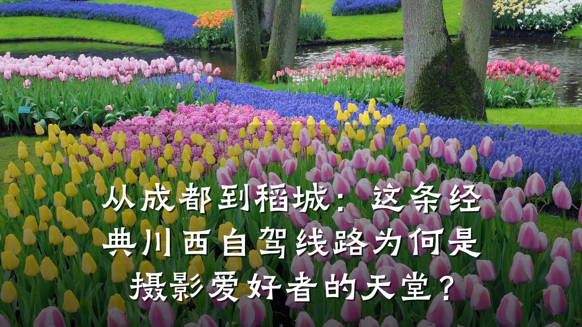 从成都到稻城:这条经典川西自驾线路为何是摄影爱好者的天堂?
