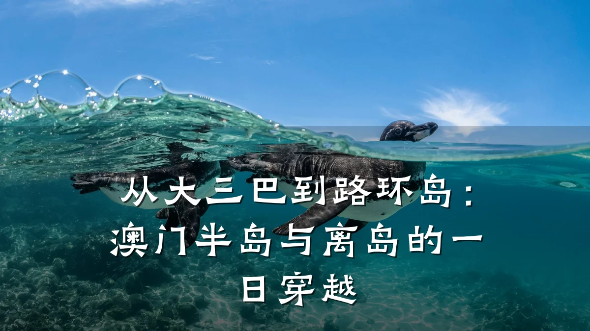 从大三巴到路环岛：澳门半岛与离岛的一日穿越