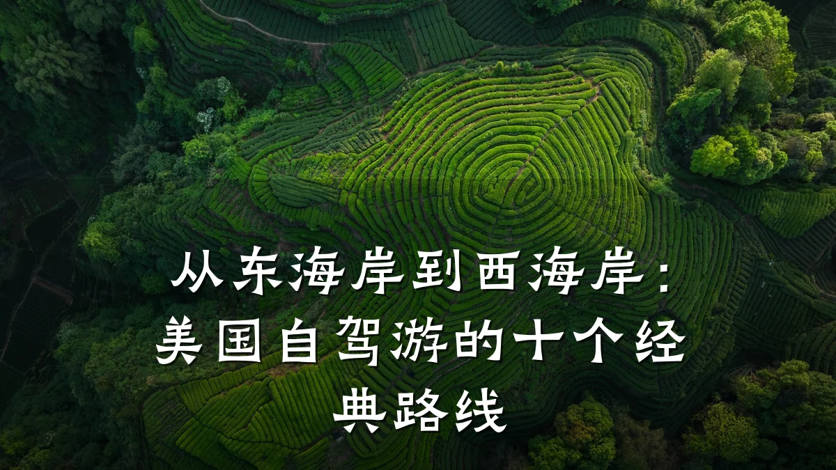 从东海岸到西海岸:美国自驾游的十个经典路线