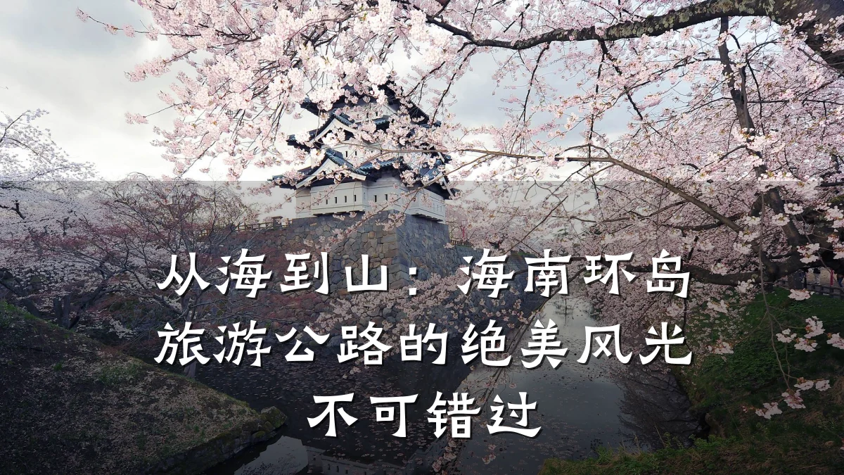 从海到山:海南环岛旅游公路的绝美风光不可错过