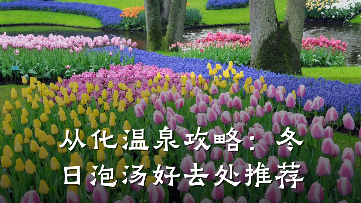 从化温泉攻略:冬日泡汤好去处推荐