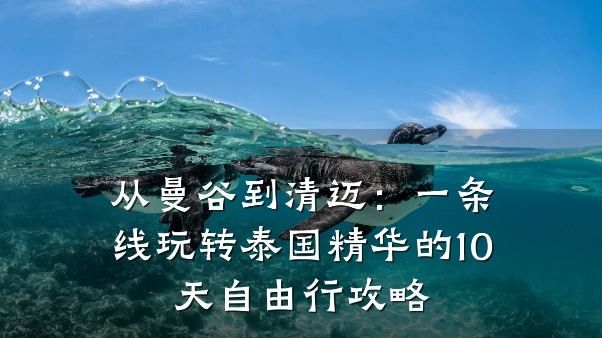 从曼谷到清迈：一条线玩转泰国精华的10天自由行攻略