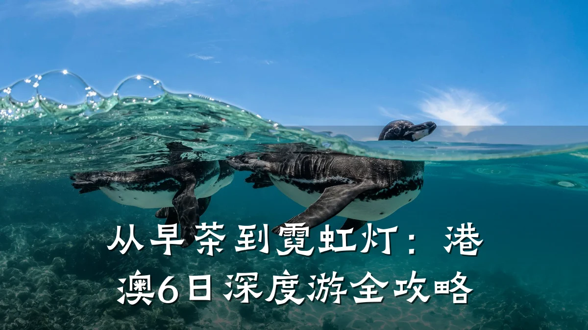 从早茶到霓虹灯：港澳6日深度游全攻略