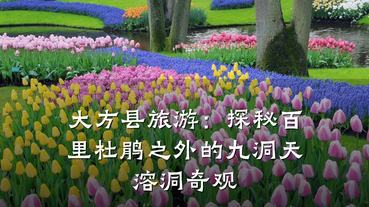 大方县旅游:探秘百里杜鹃之外的九洞天溶洞奇观