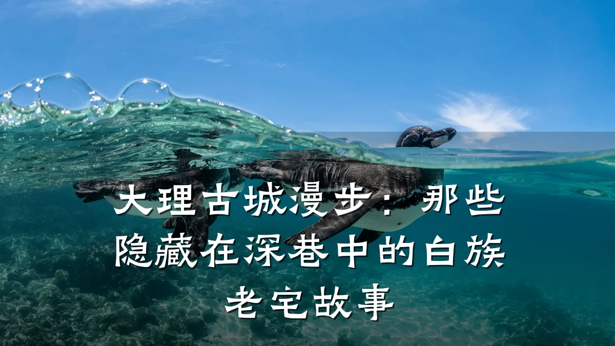 大理古城漫步：那些隐藏在深巷中的白族老宅故事