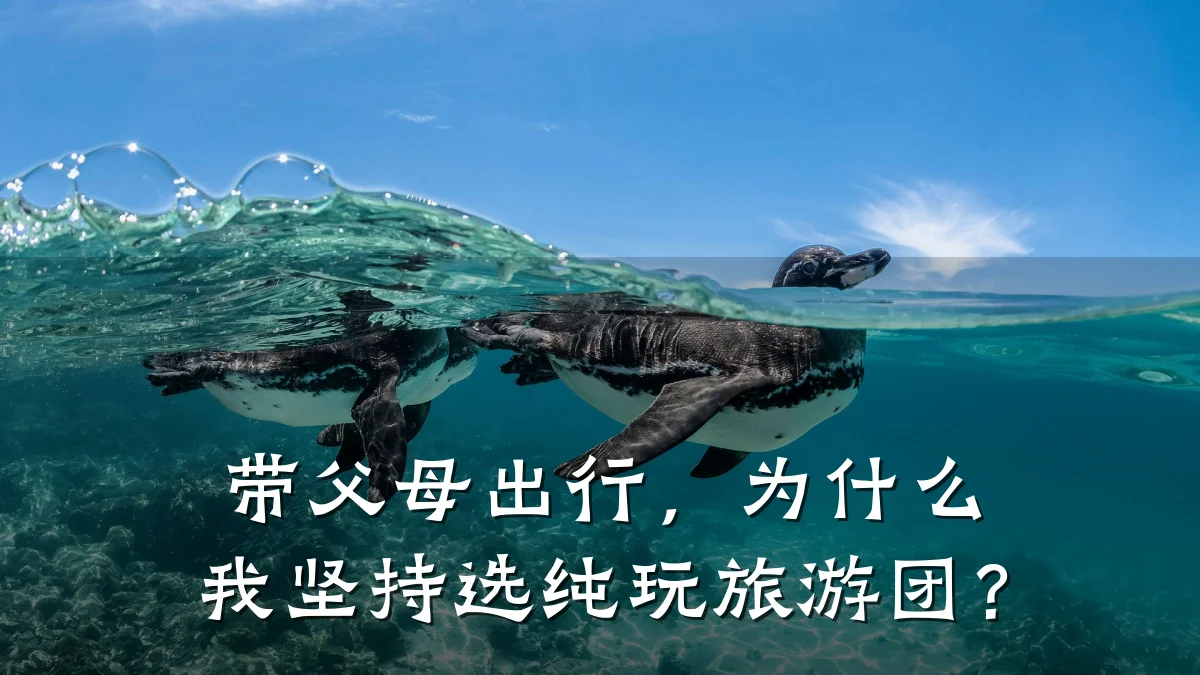 带父母出行，为什么我坚持选纯玩旅游团？