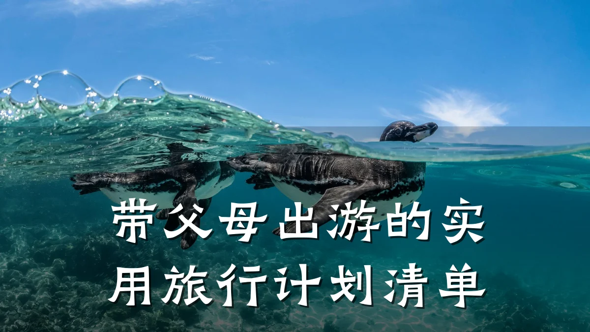 带父母出游的实用旅行计划清单