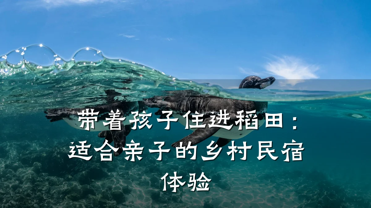 带着孩子住进稻田：适合亲子的乡村民宿体验