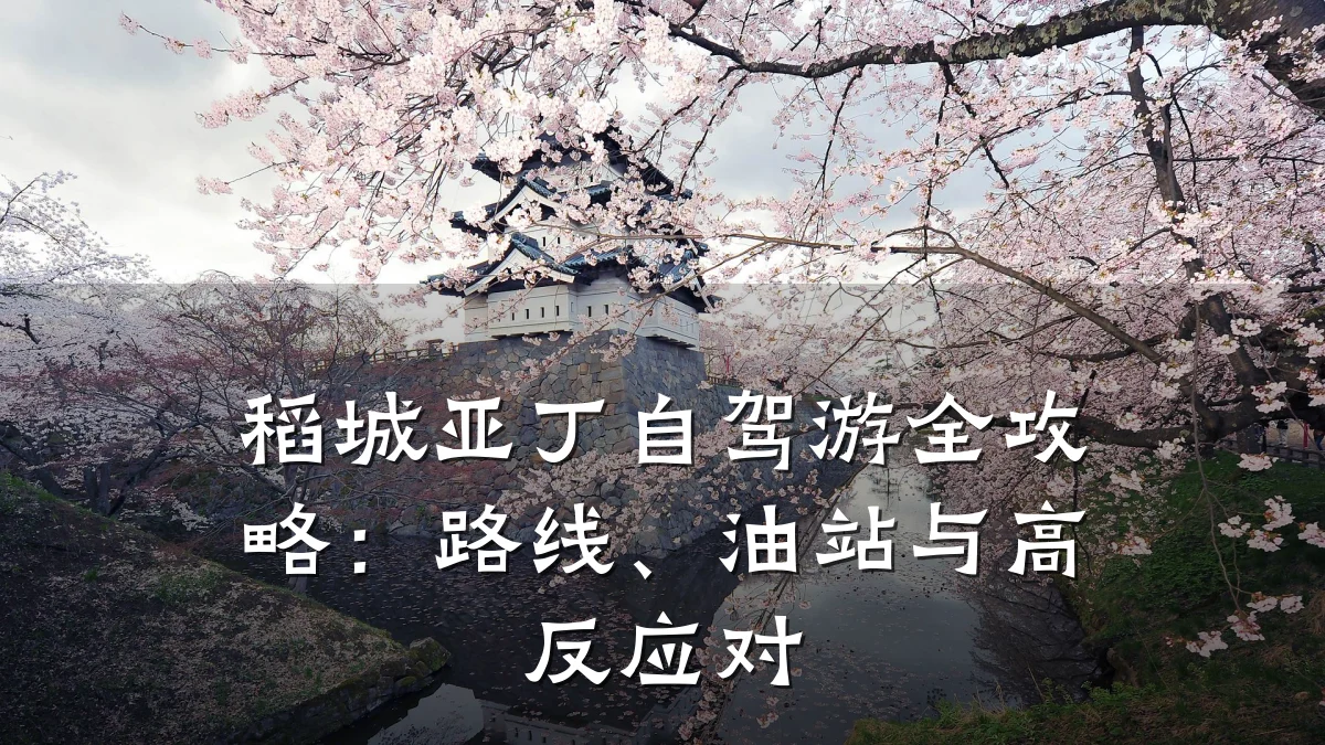稻城亚丁自驾游全攻略：路线、油站与高反应对