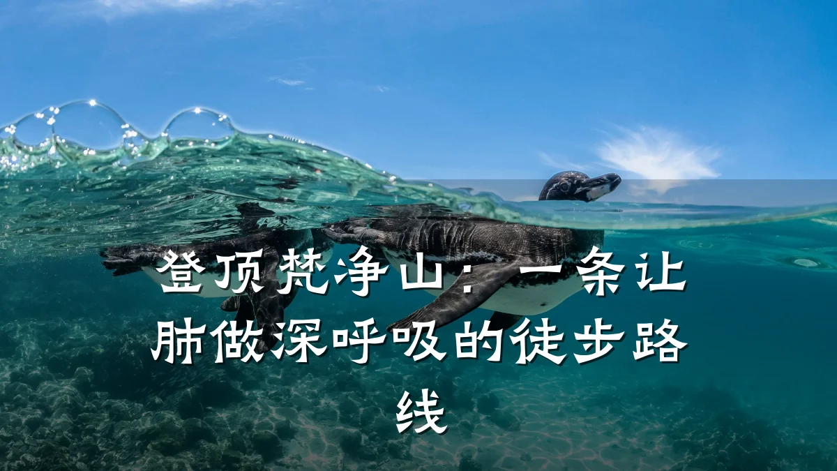 登顶梵净山:一条让肺做深呼吸的徒步路线