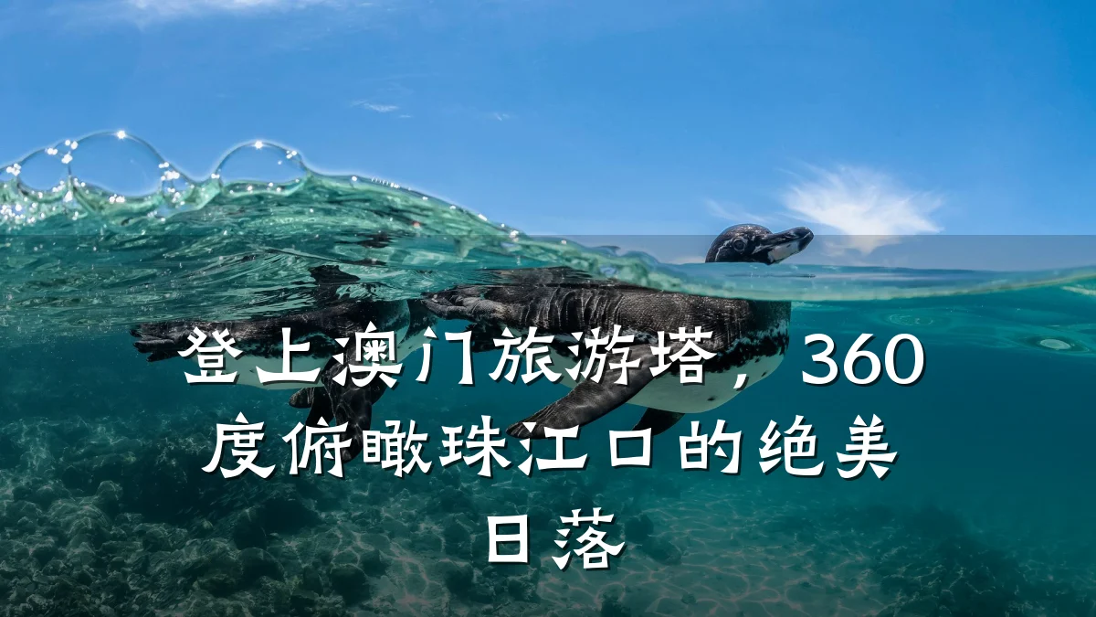 登上澳门旅游塔,360度俯瞰珠江口的绝美日落