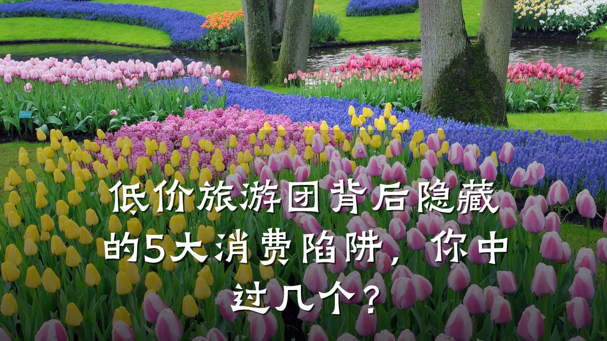 低价旅游团背后隐藏的5大消费陷阱,你中过几个?