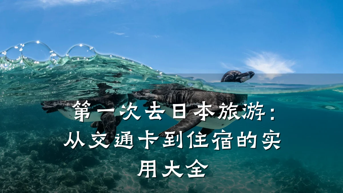 第一次去日本旅游:从交通卡到住宿的实用大全