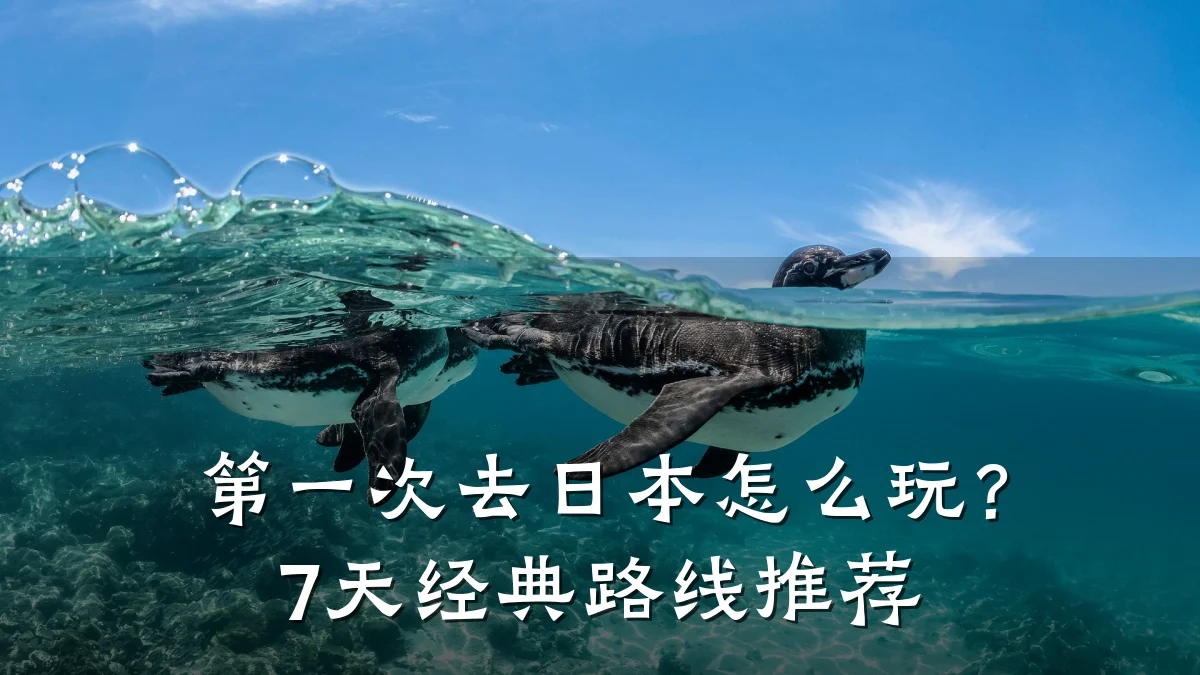 第一次去日本怎么玩？7天经典路线推荐