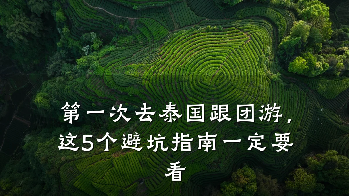 第一次去泰国跟团游,这5个避坑指南一定要看
