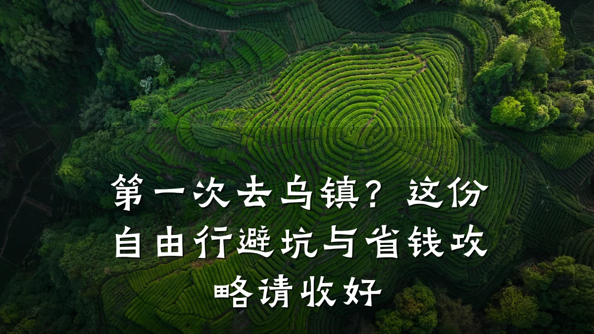 第一次去乌镇?这份自由行避坑与省钱攻略请收好