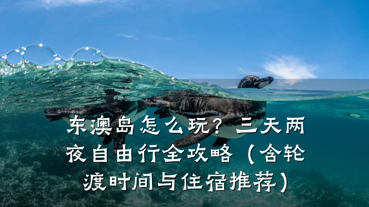 东澳岛怎么玩？三天两夜自由行全攻略（含轮渡时间与住宿推荐）