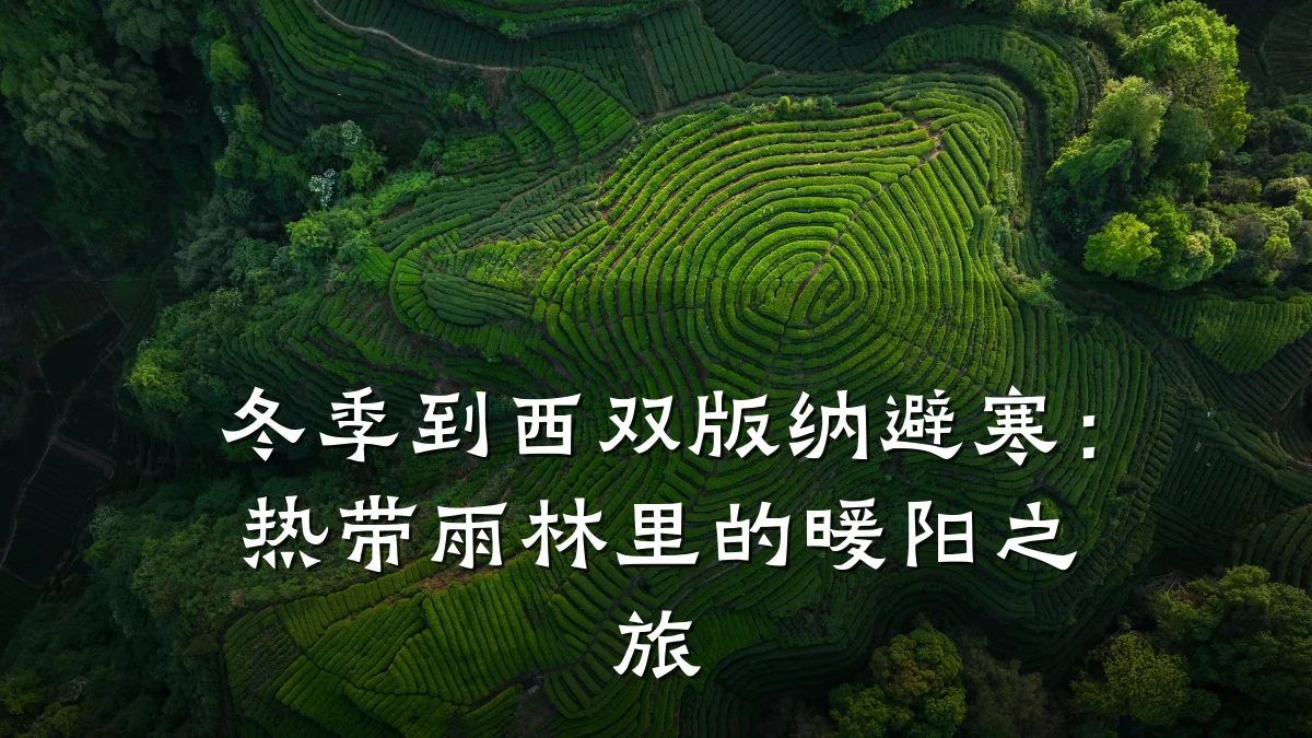 冬季到西双版纳避寒:热带雨林里的暖阳之旅