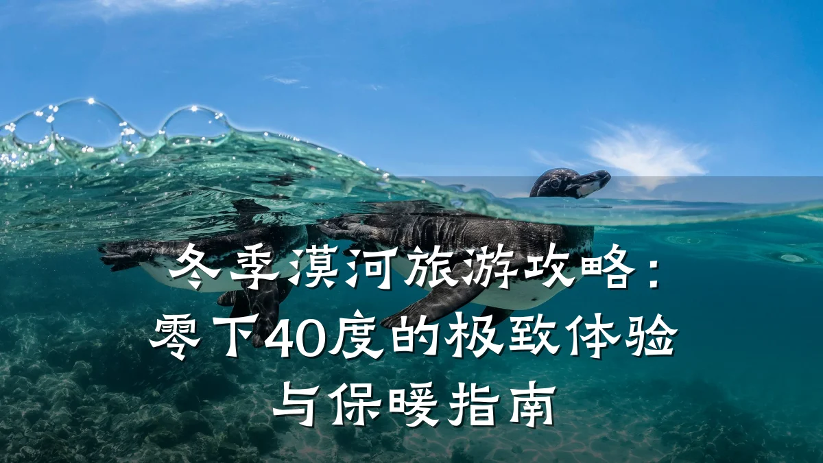 冬季漠河旅游攻略:零下40度的极致体验与保暖指南