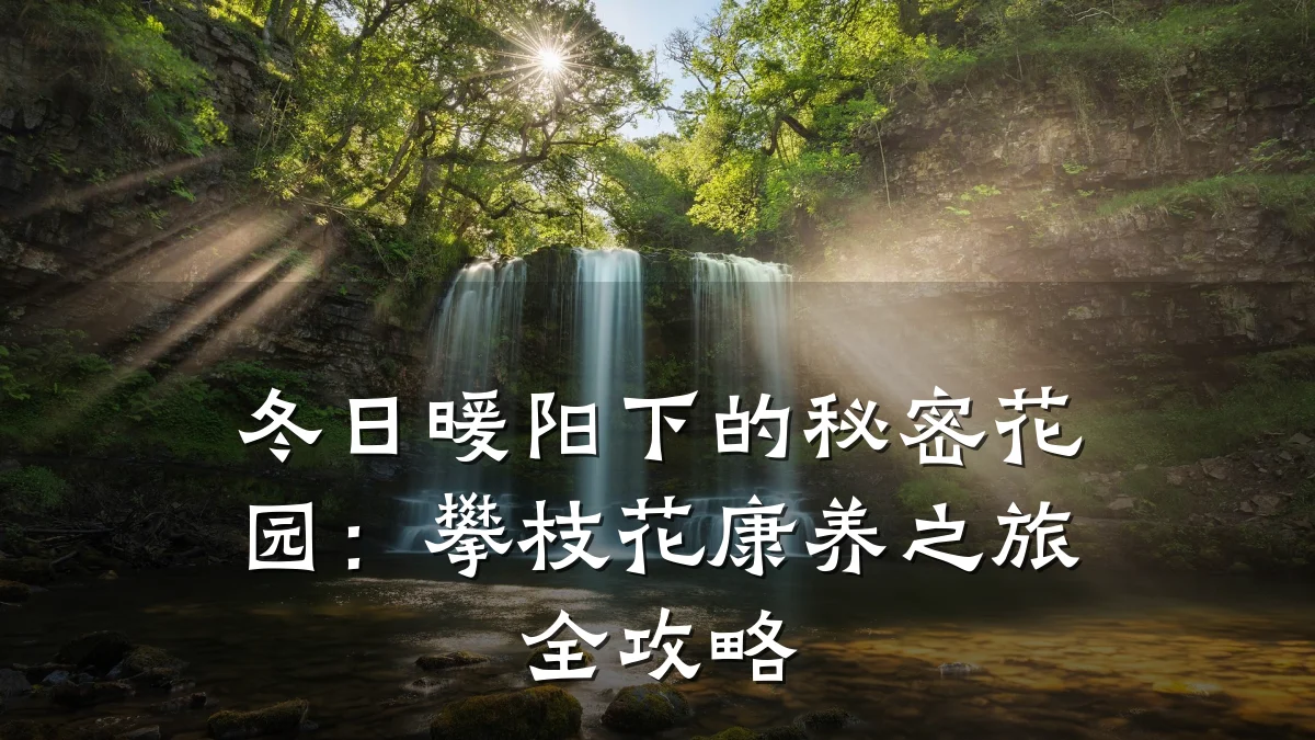 冬日暖阳下的秘密花园:攀枝花康养之旅全攻略