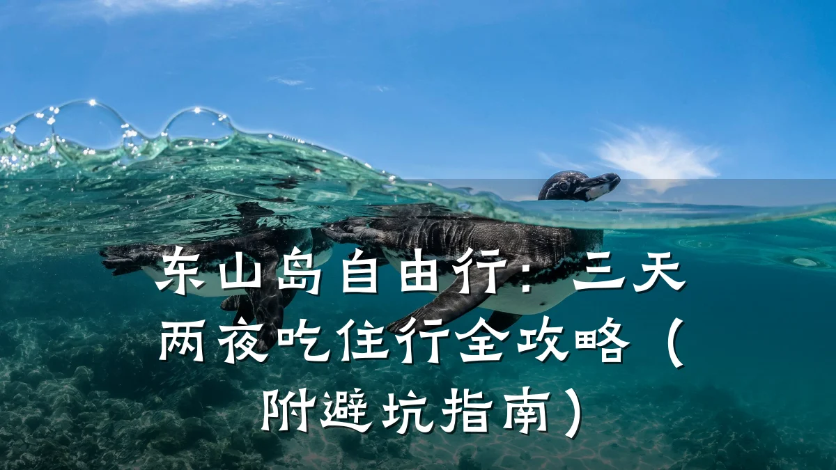 东山岛自由行:三天两夜吃住行全攻略(附避坑指南)