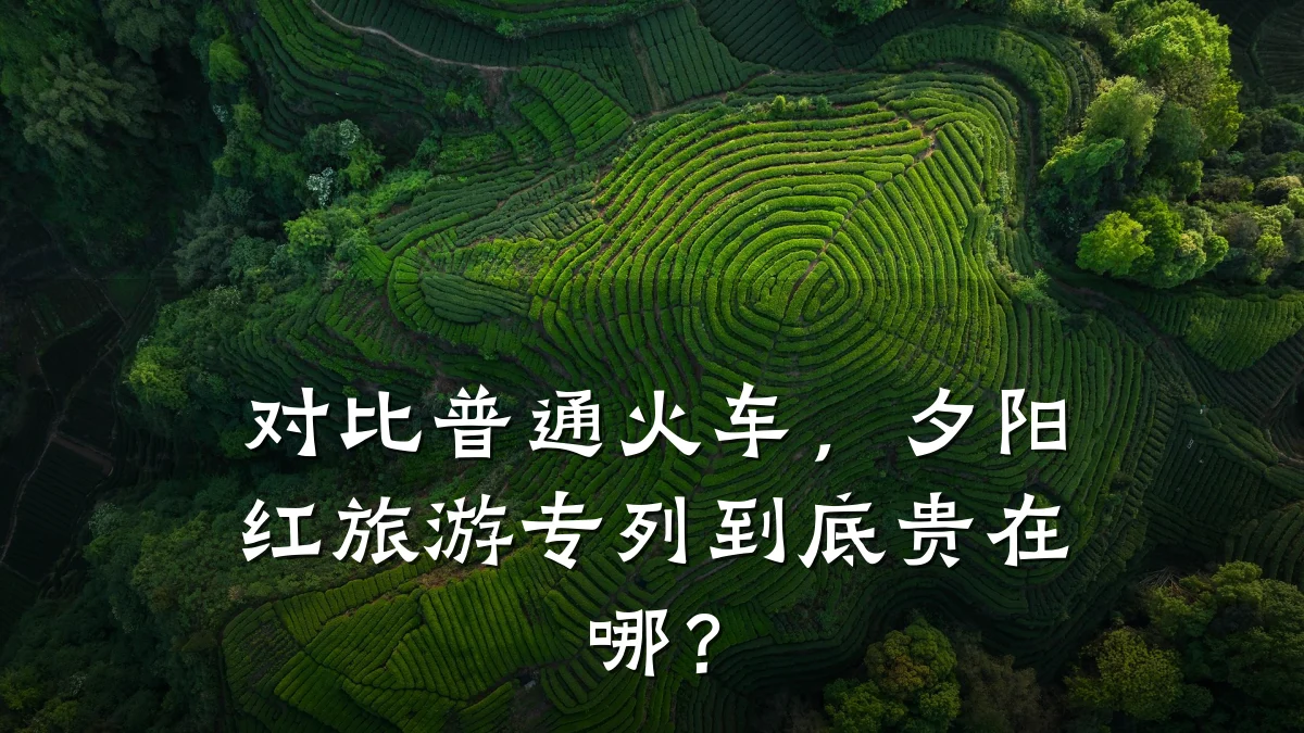 对比普通火车,夕阳红旅游专列到底贵在哪?