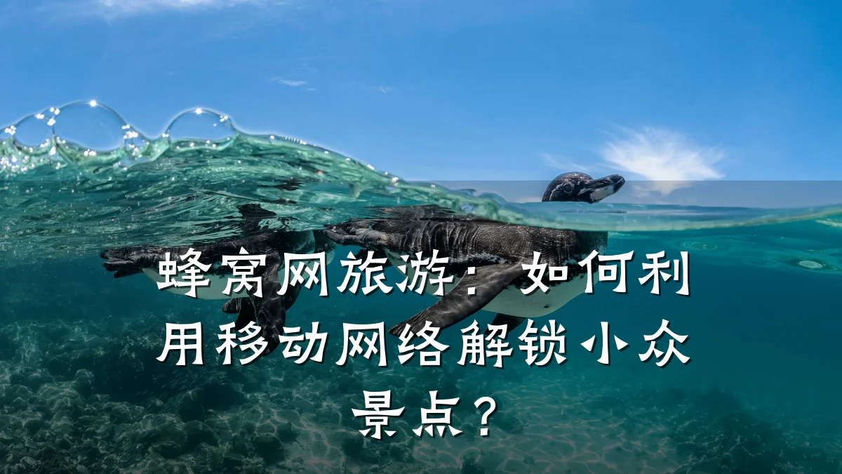 蜂窝网旅游：如何利用移动网络解锁小众景点？
