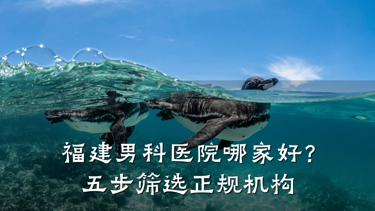 福建男科医院哪家好?五步筛选正规机构