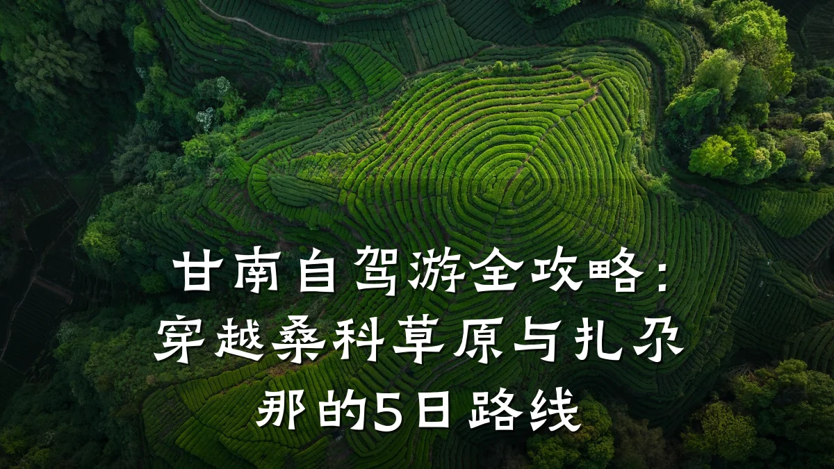 甘南自驾游全攻略:穿越桑科草原与扎尕那的5日路线