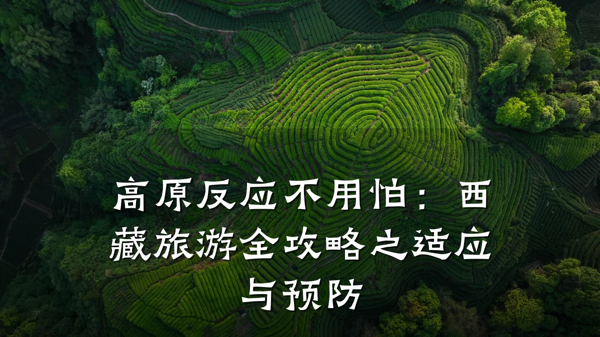 高原反应不用怕:西藏旅游全攻略之适应与预防