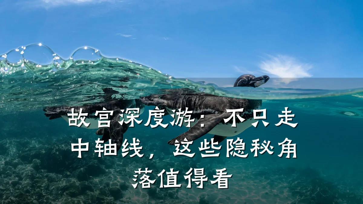 故宫深度游:不只走中轴线,这些隐秘角落值得看