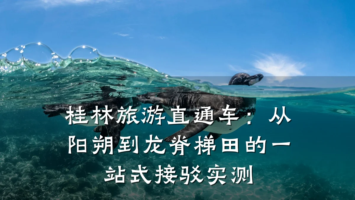 桂林旅游直通车:从阳朔到龙脊梯田的一站式接驳实测