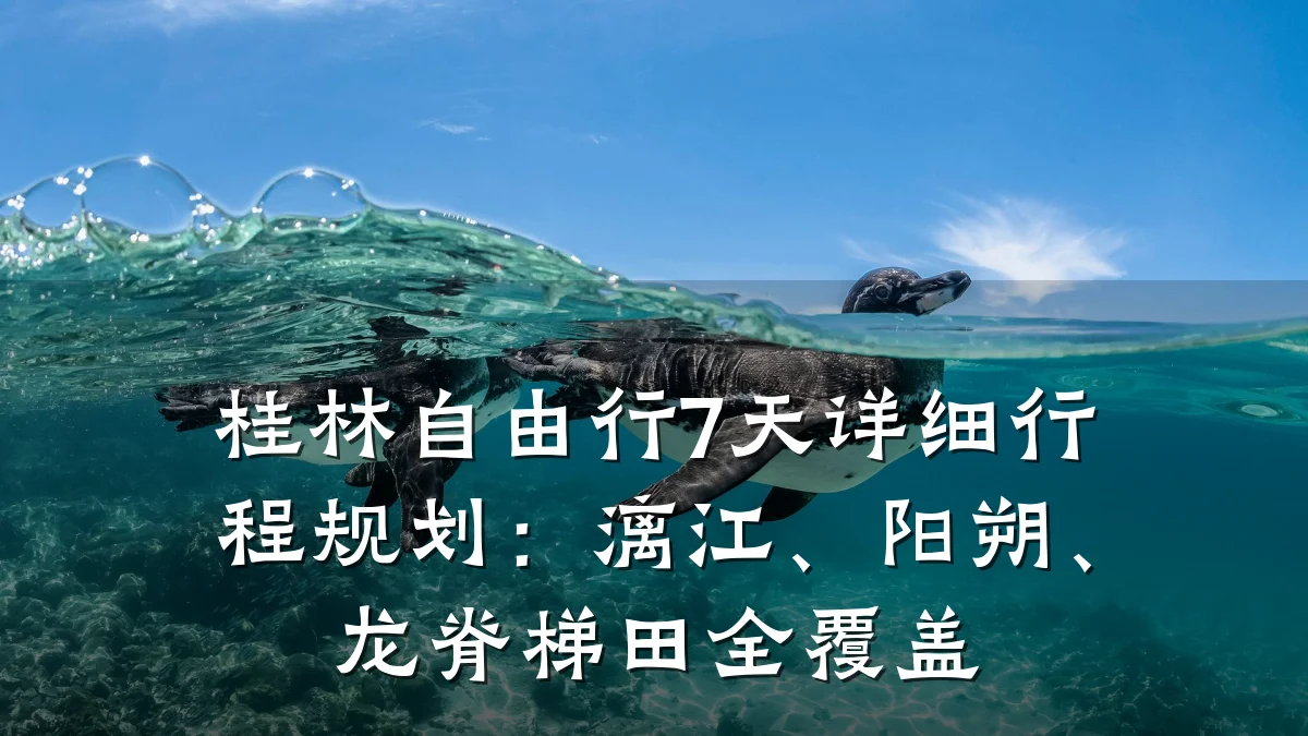 桂林自由行7天详细行程规划:漓江、阳朔、龙脊梯田全覆盖
