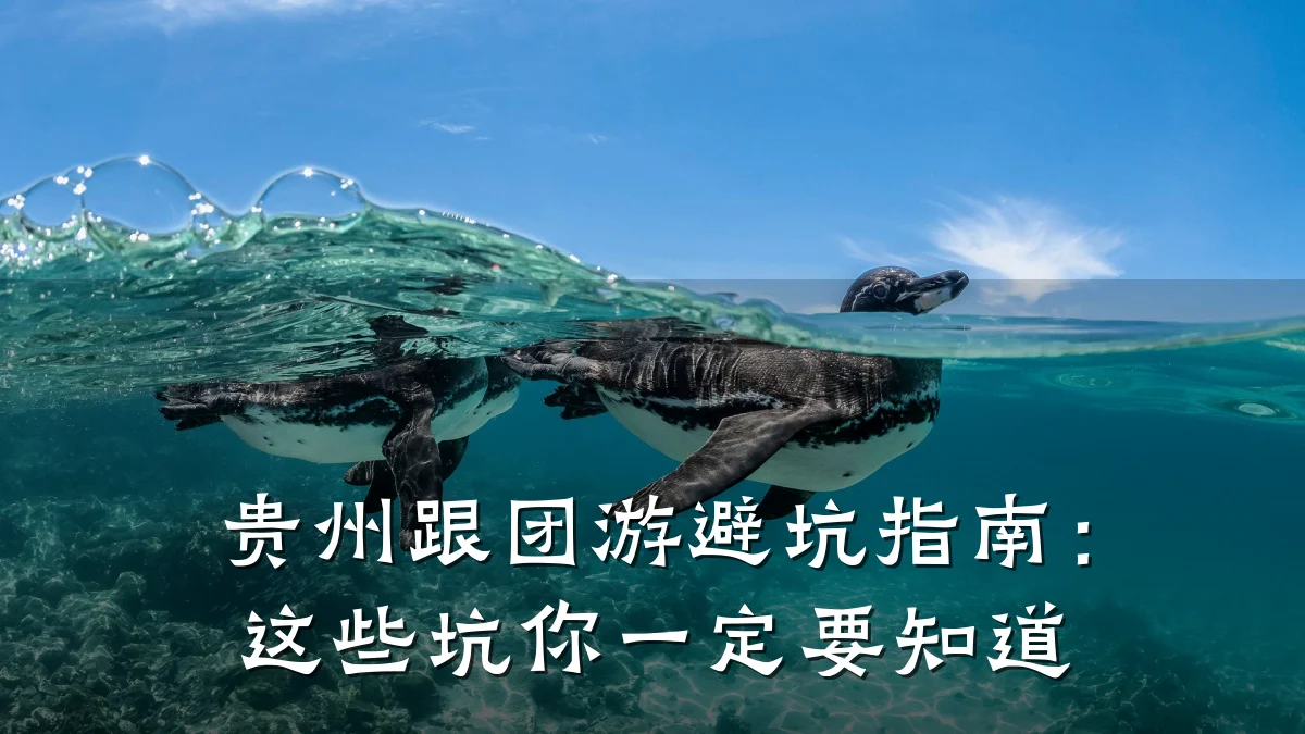 贵州跟团游避坑指南:这些坑你一定要知道